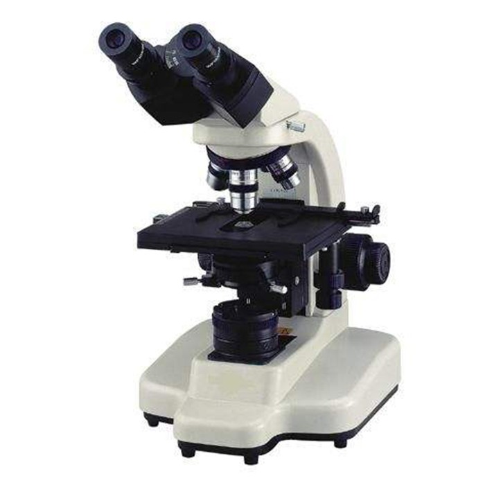 双筒生物显微镜