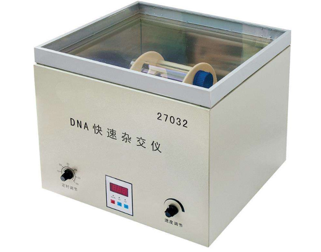 DNA快速杂交仪
