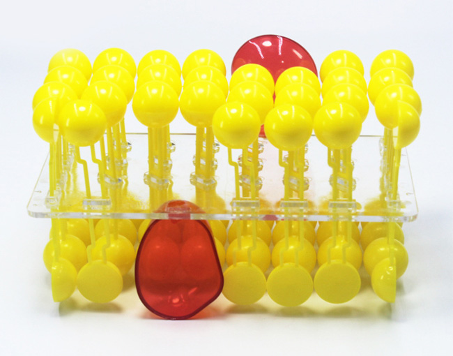 细胞膜流动镶嵌模型组件